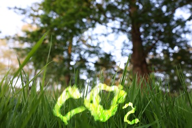 Image of Concept of clear air. CO2 inscription and green grass, space for text