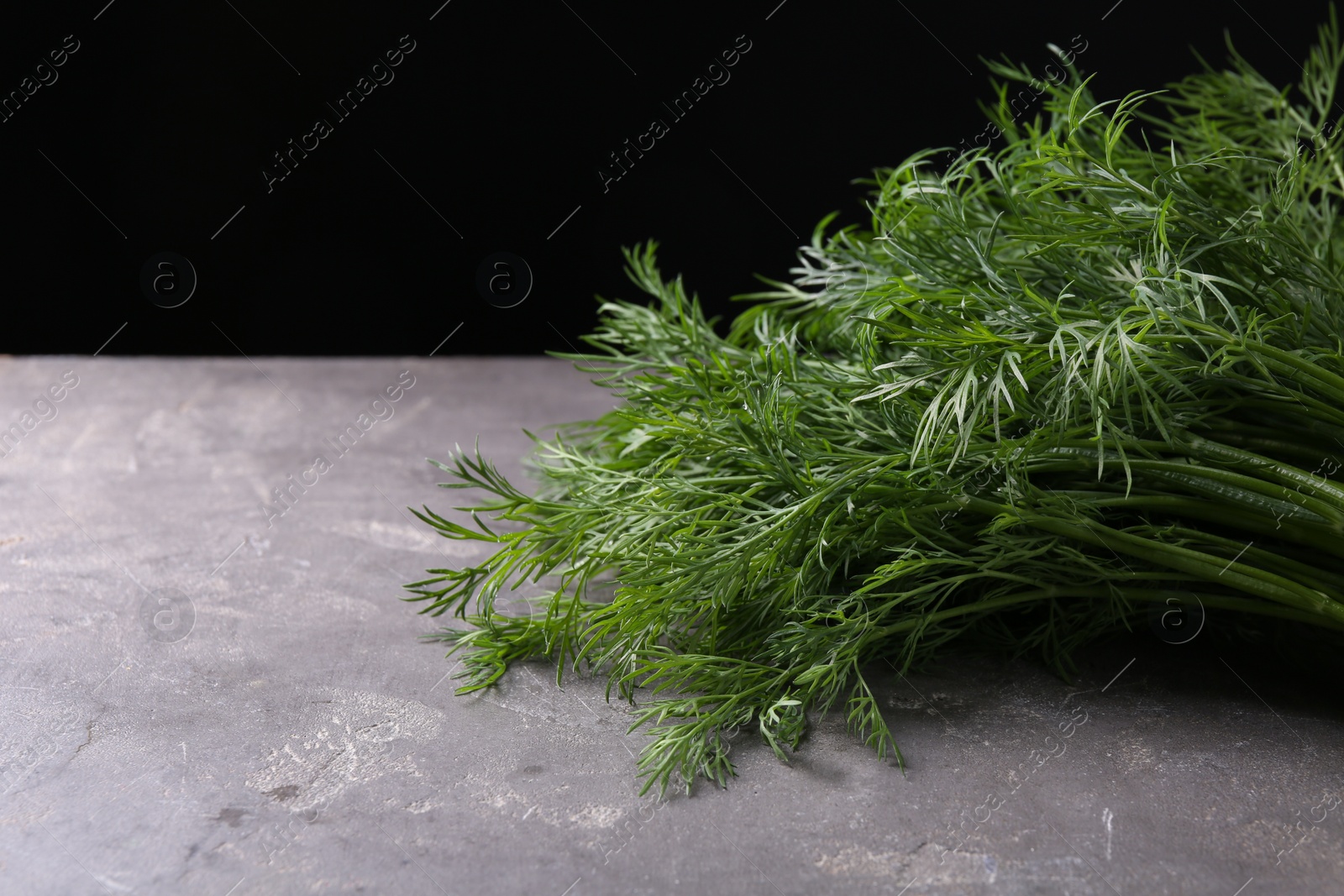 Photo of Sprigs of fresh dill on grey textured table against black background, closeup. Space for text