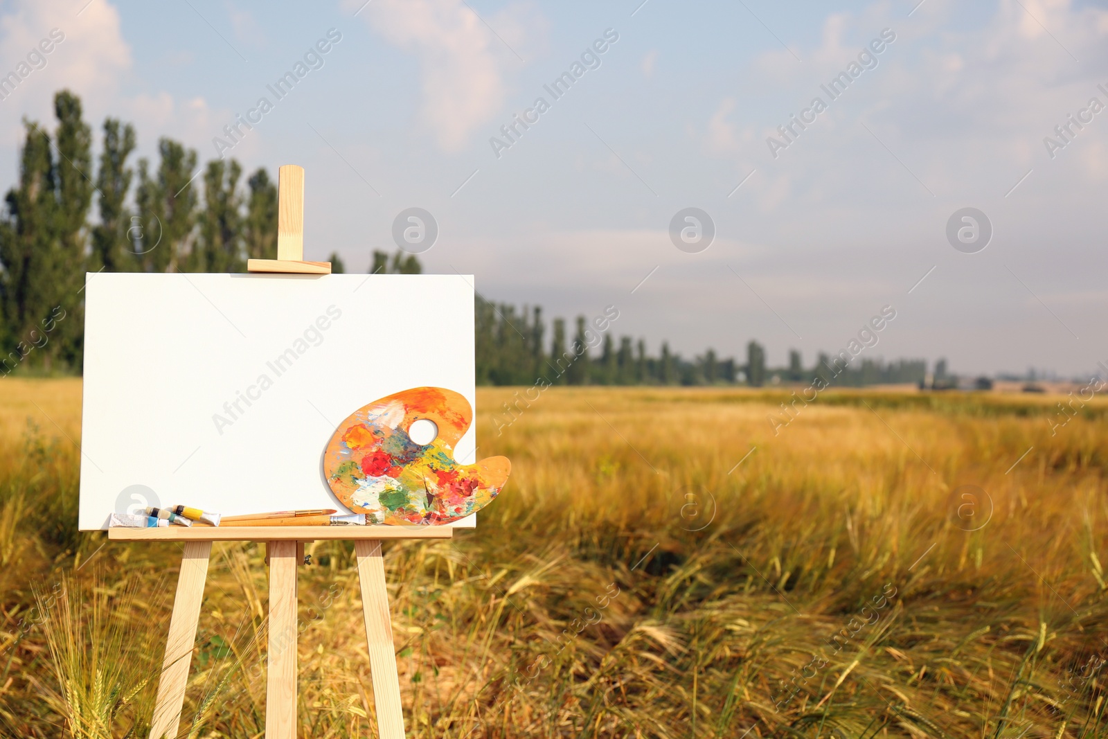 Photo of Wooden easel with blank canvas and painting equipment in field. Space for text