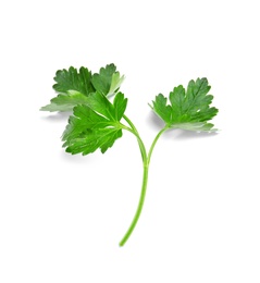 Photo of Fresh green organic parsley on white background