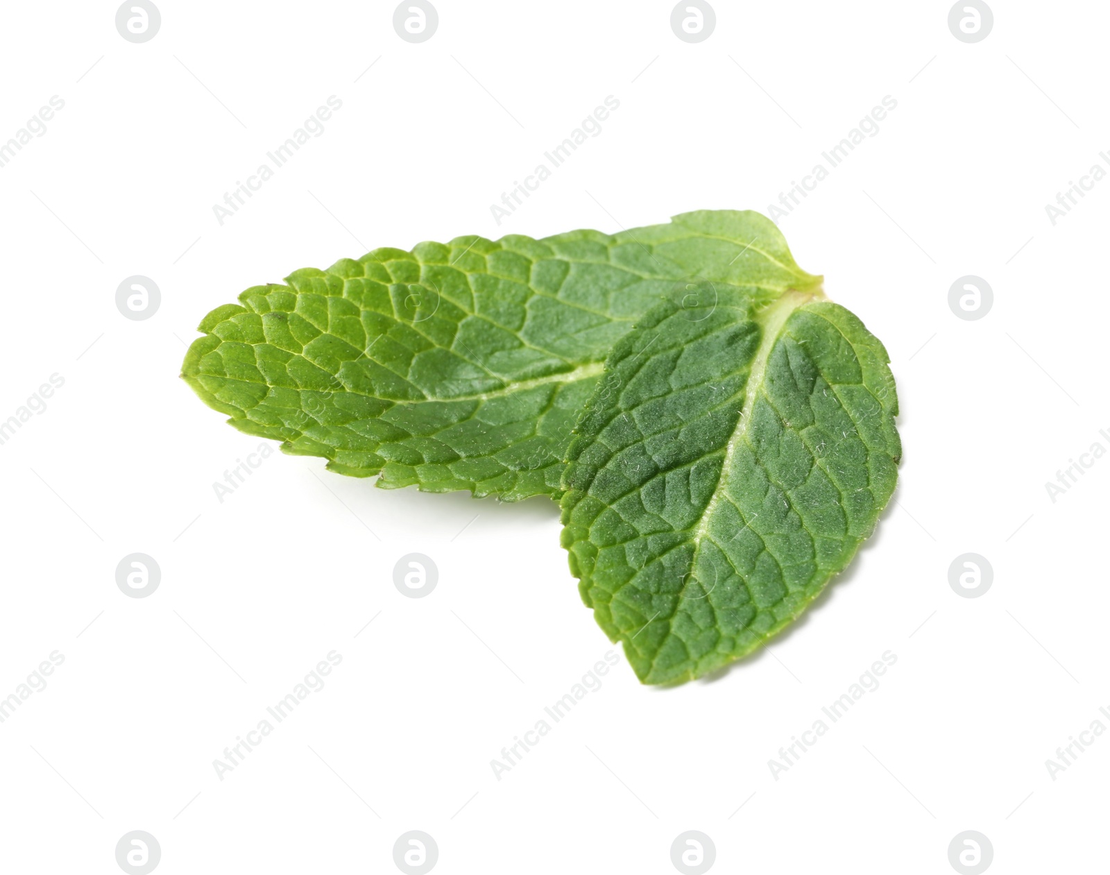 Photo of Leaves of fresh mint isolated on white