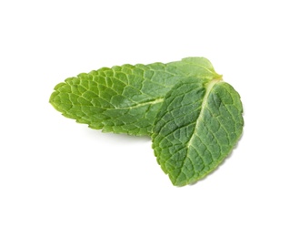 Photo of Leaves of fresh mint isolated on white