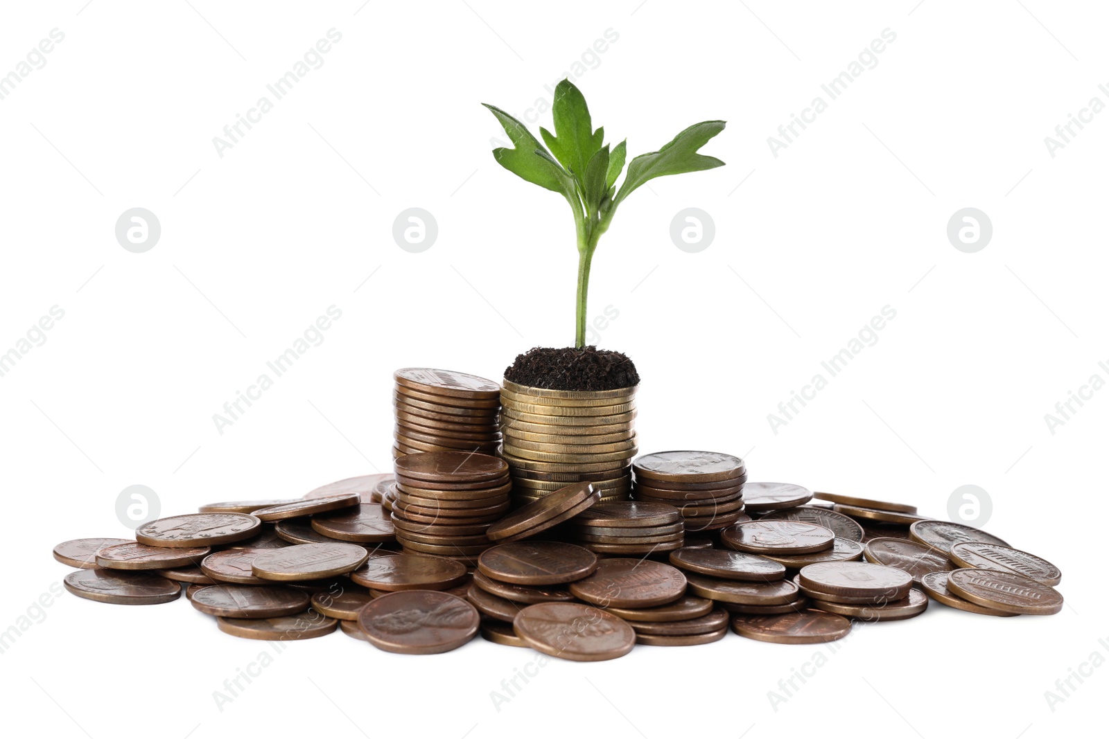 Photo of Coins with green sprout isolated on white. Investment concept