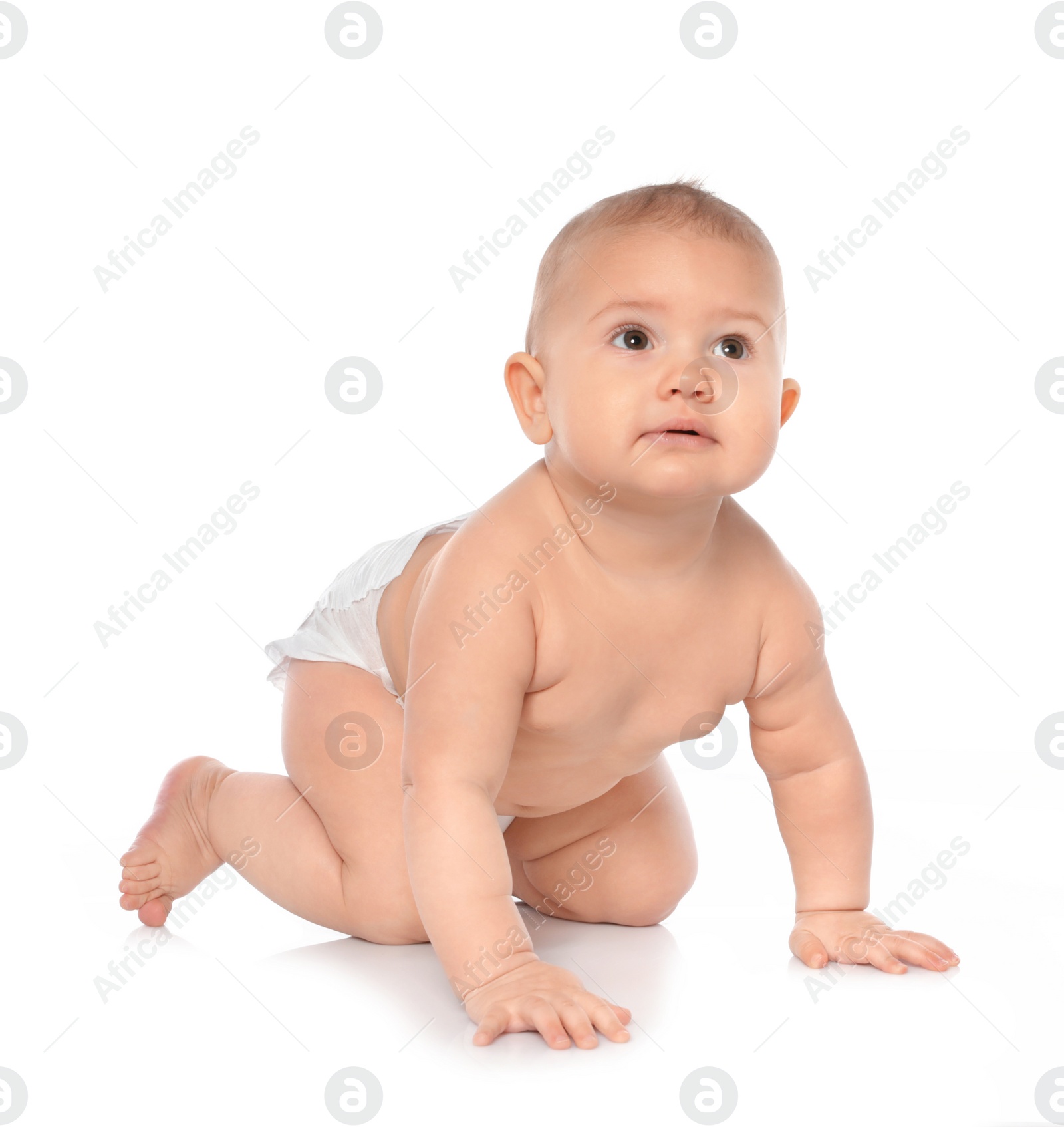 Photo of Cute little baby crawling on white background