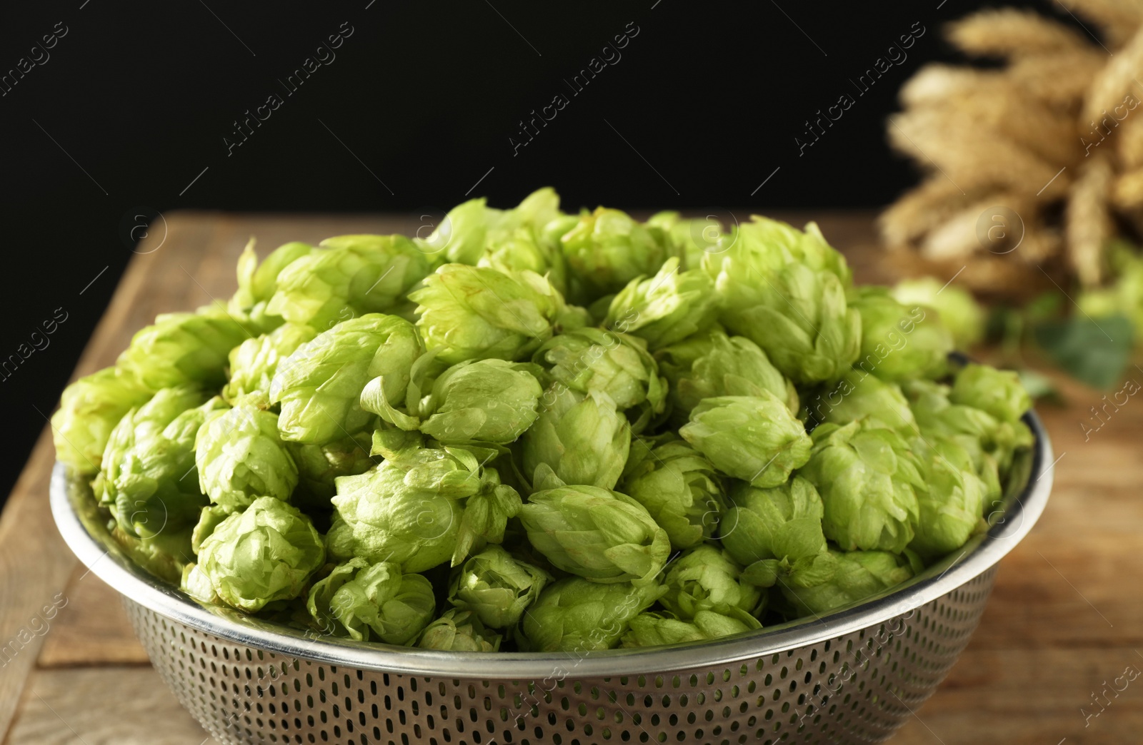 Photo of Fresh green hops in sieve on table, closeup