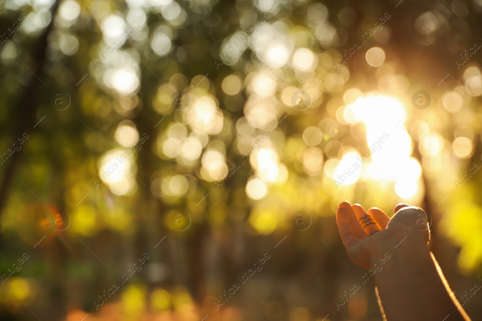 Photo of Young woman enjoying beautiful sunset, closeup view with space for text. Nature healing power