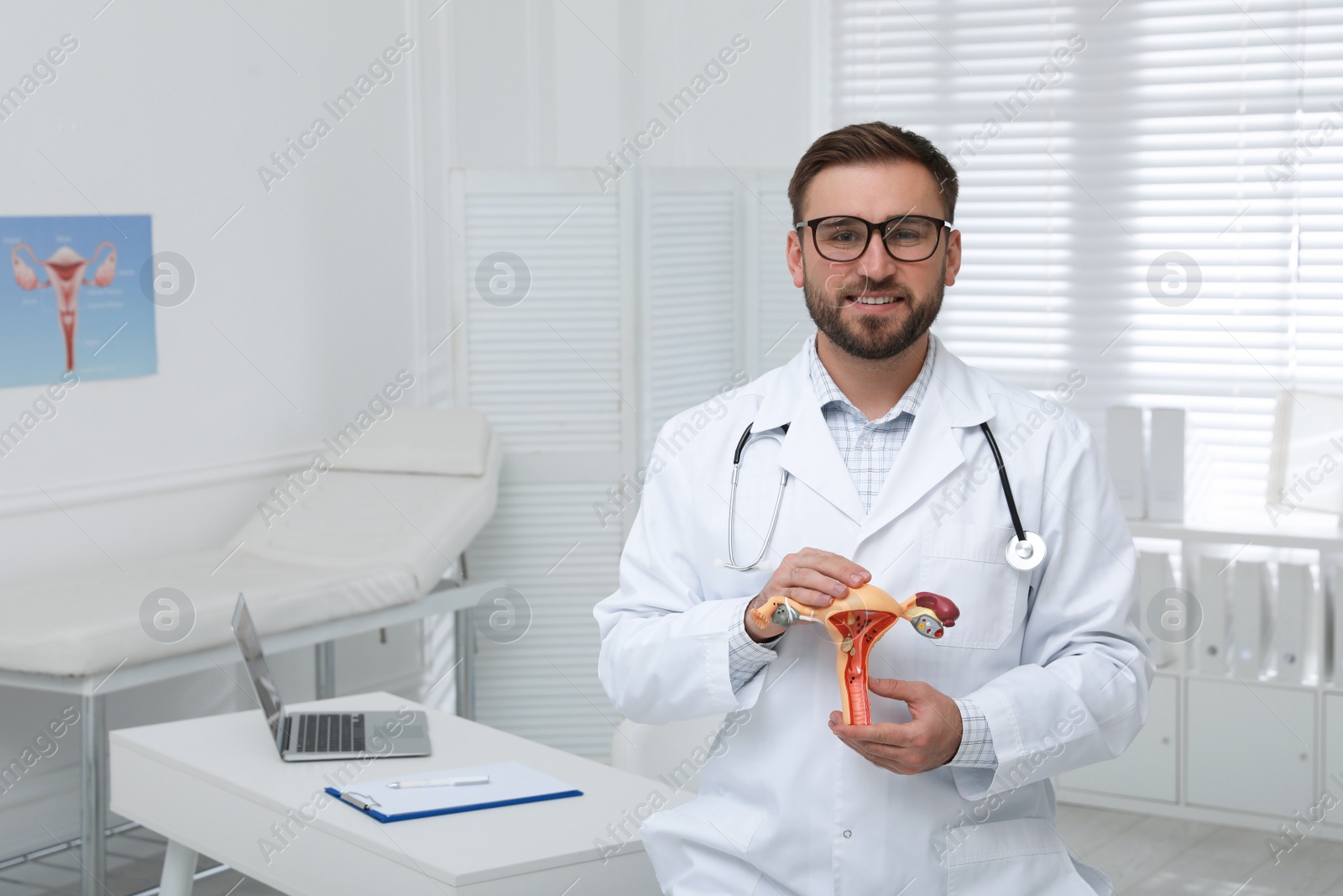 Photo of Gynecologist demonstrating model of female reproductive system in clinic