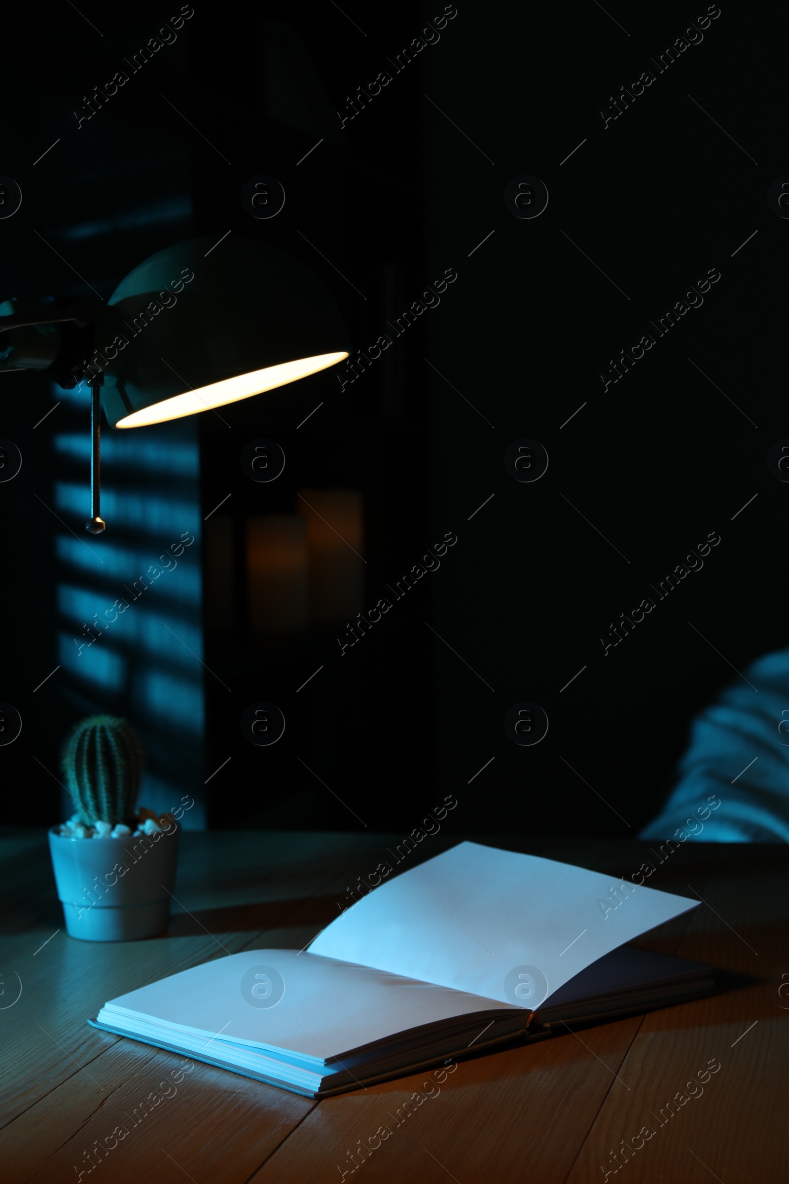 Photo of Open book and cactus on wooden table at night