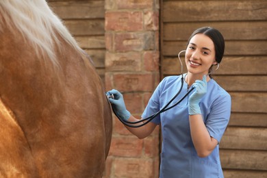 Photo of Veterinarian listening to horse with stethoscope outdoors. Pet care