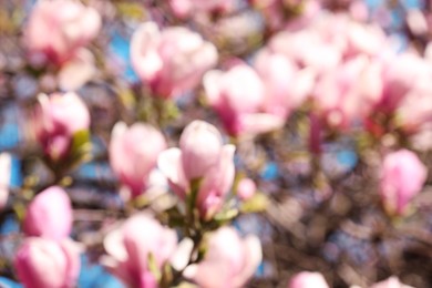 Photo of Blurred view of beautiful tree with pink blossom outdoors. Bokeh effect