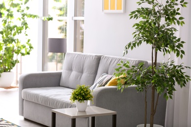 Photo of Stylish living room interior with comfortable sofa