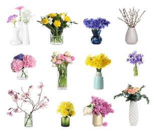 Collage with various beautiful flowers in vases on white background