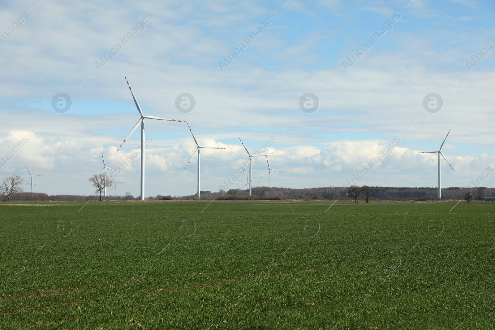 Photo of Modern wind turbines in field on sunny day. Alternative energy source