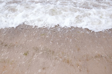 Photo of Beautiful sea coast with wet sand, closeup