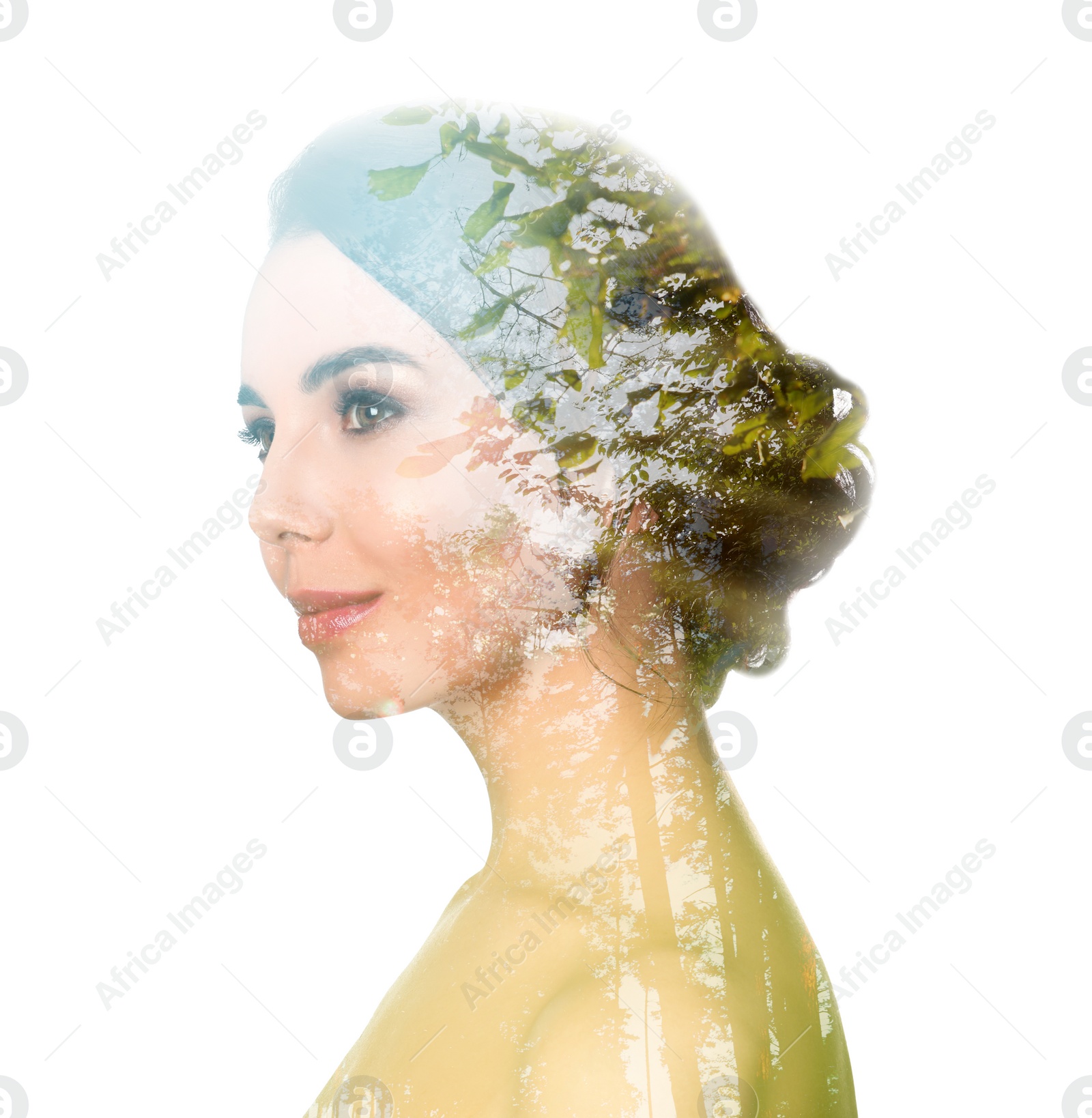 Image of Beautiful woman and trees on white background. Double exposure