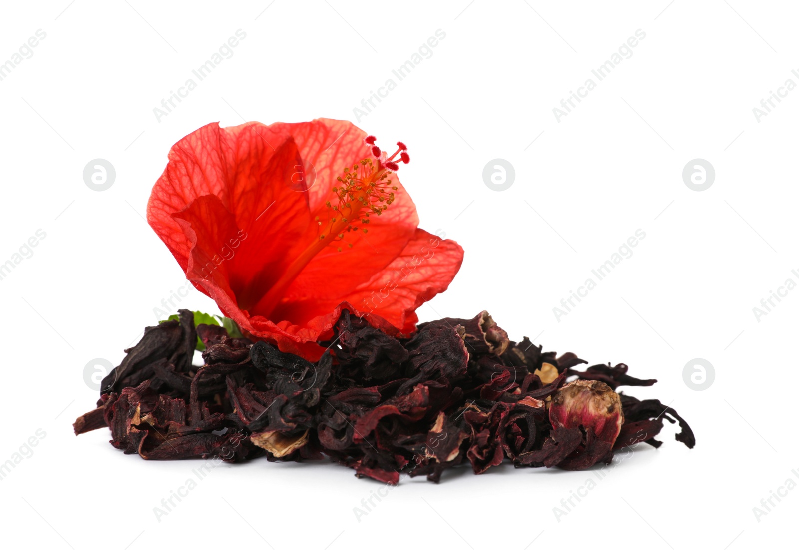 Photo of Dry hibiscus tea and beautiful flower on white background