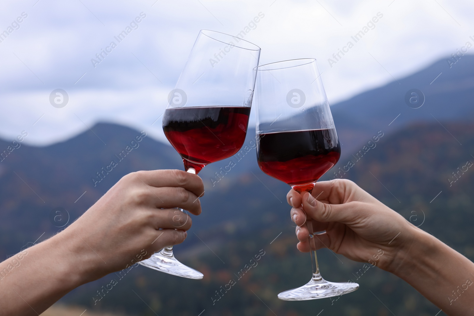 Photo of Friends clinking glasses of wine in mountains, closeup