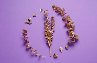 Photo of Flat lay composition with golden dried flowers and branches on violet background