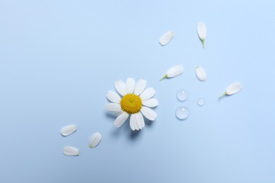 Photo of Drops of cosmetic serum, chamomile flower and petals on light blue background, flat lay