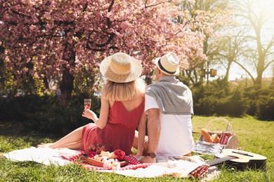 Photo of Couple having picnic in park on sunny day, back view