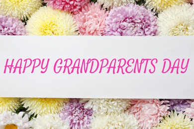 Image of Beautiful aster flowers and phrase HAPPY GRANDPARENTS DAY, top view