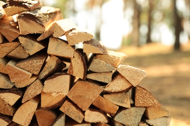 Photo of Stack of cut firewood in forest on sunny day, closeup