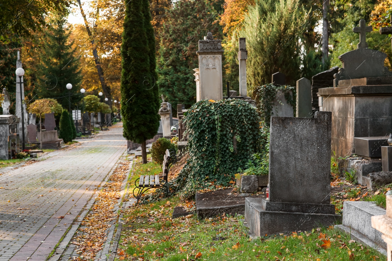 Photo of View of cemetery with granite tombstones and paved footpath on sunny day. Funeral ceremony