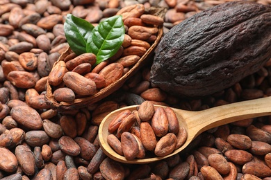 Photo of Wooden spoon of seeds and cocoa pods on beans