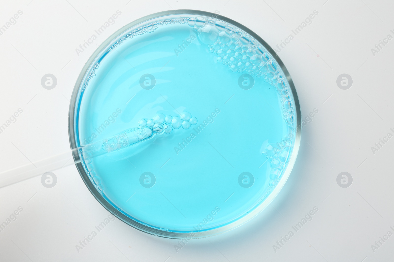 Photo of Petri dish with light blue liquid sample and pipette on white background, top view