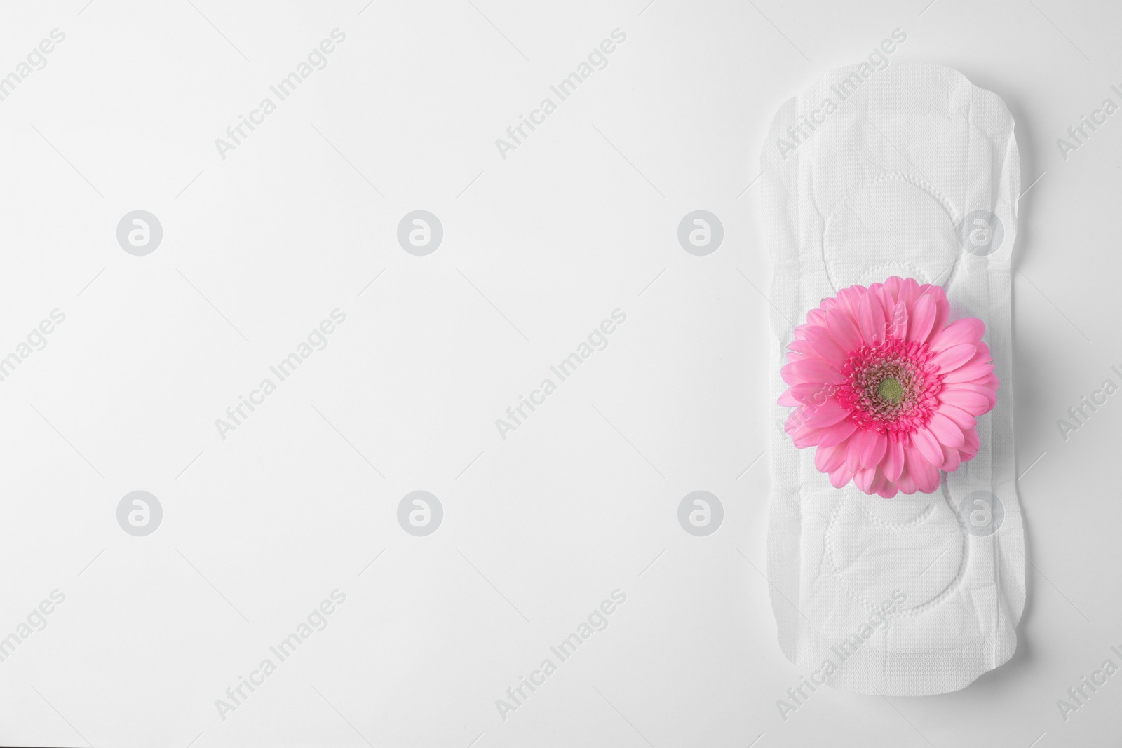 Photo of Menstrual pad and flower on white background, top view with space for text. Gynecological care