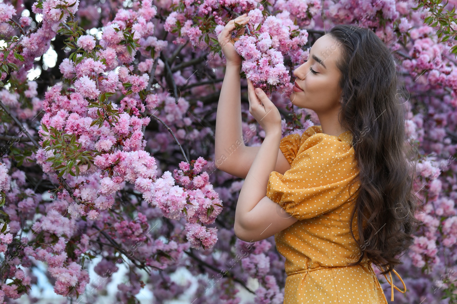 Photo of Beautiful woman near blossoming sakura tree on spring day