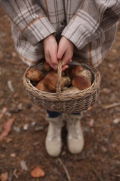 Photo of Woman with basket full of wild mushrooms in autumn forest, closeup