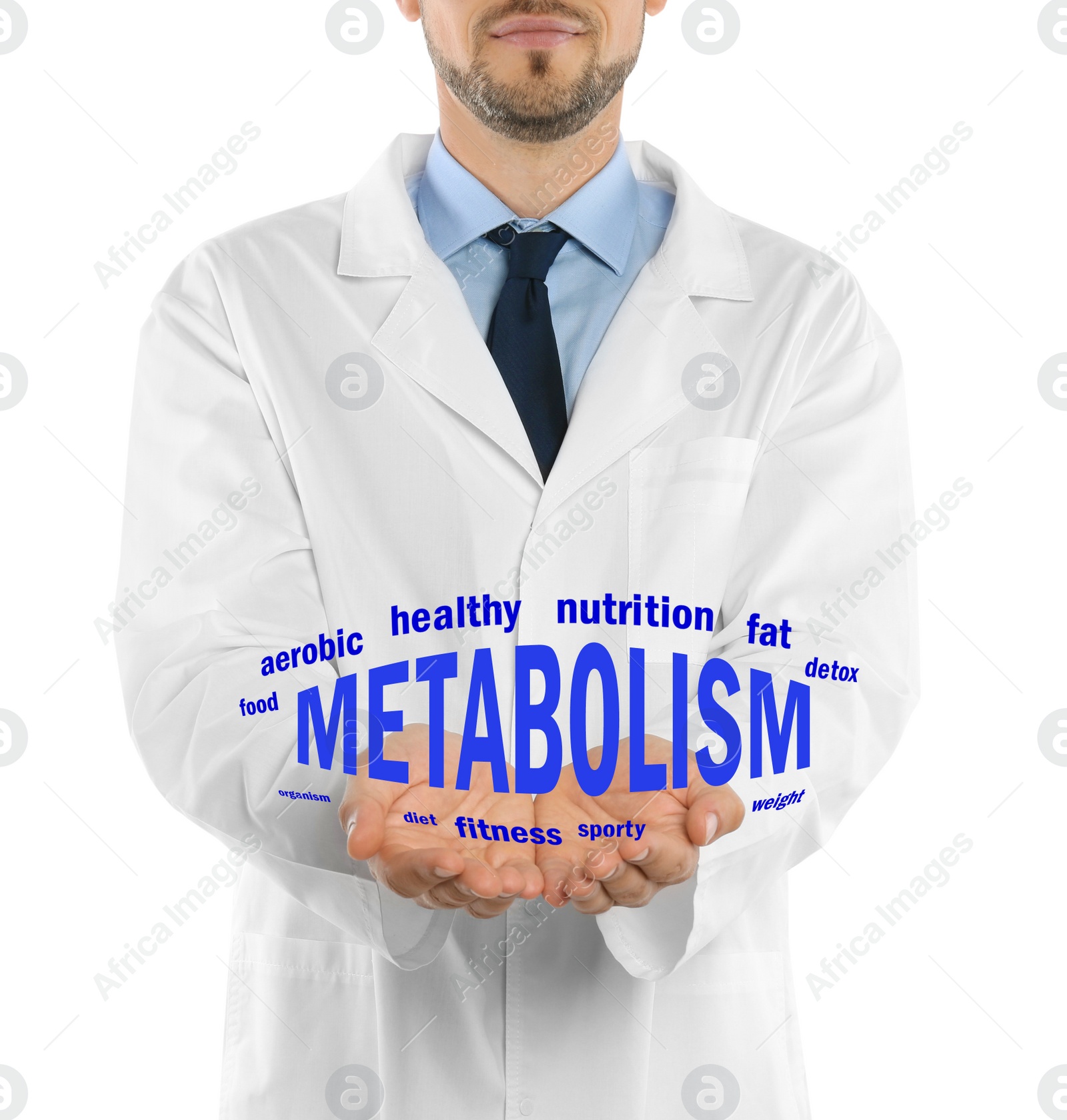 Image of Metabolism concept. Doctor presenting scheme on white background, closeup