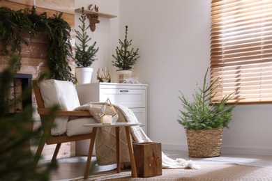 Photo of Beautiful room decorated for Christmas with potted firs. Interior design