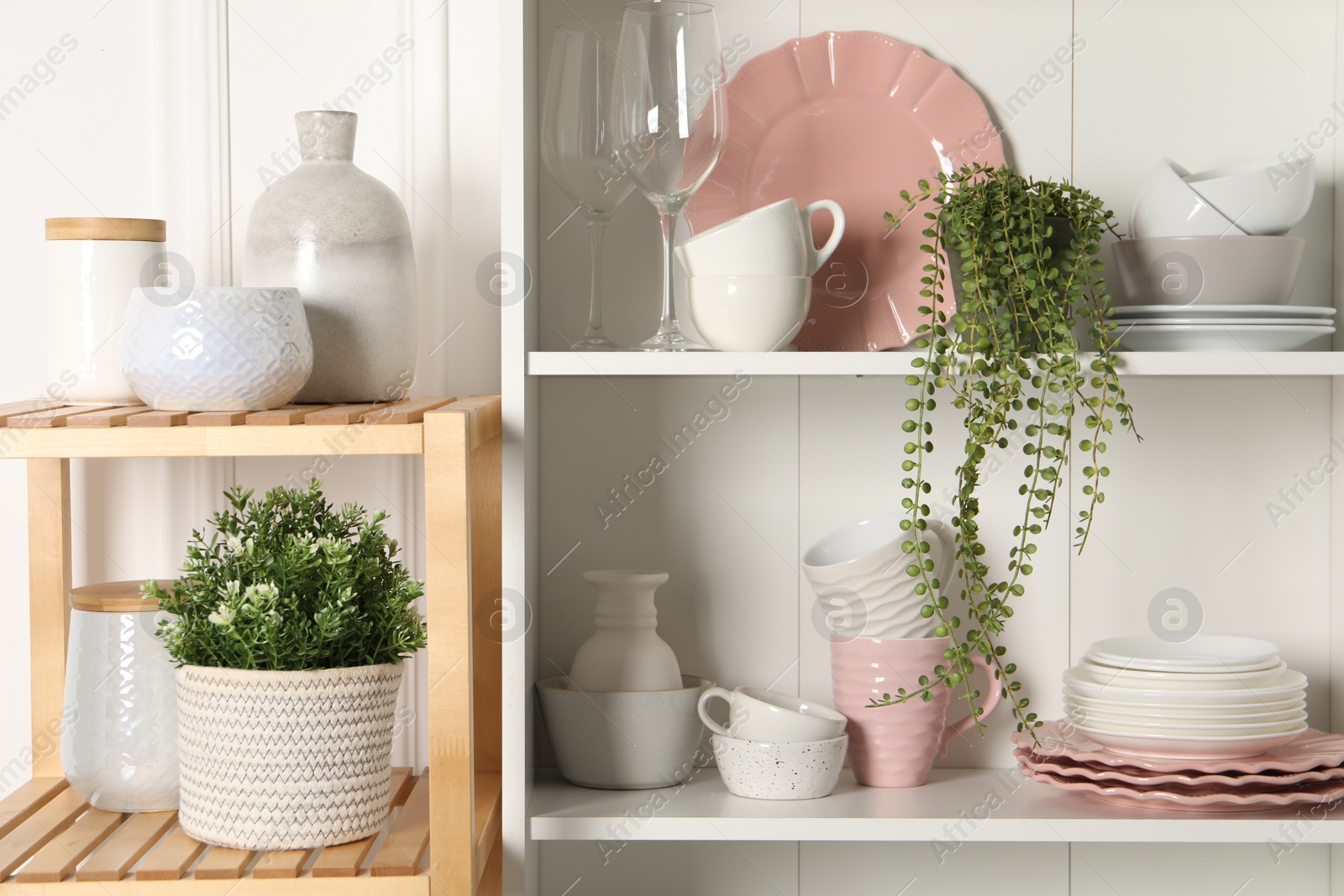 Photo of Different clean dishware and houseplants on shelves in cabinet indoors