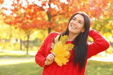 Beautiful woman with yellow leaves in sunny park. Autumn walk
