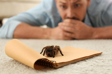 Photo of Man and tarantula on carpet. Arachnophobia (fearspiders)
