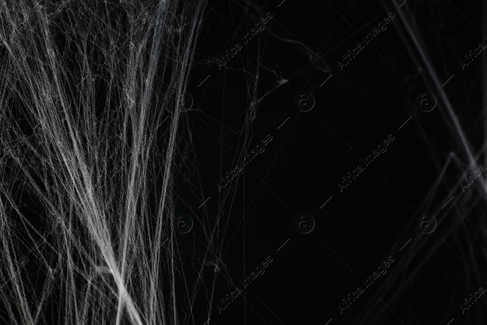 Photo of Creepy white cobweb on black background, space for text