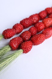 Photo of Grass stems with wild strawberries on white background, closeup