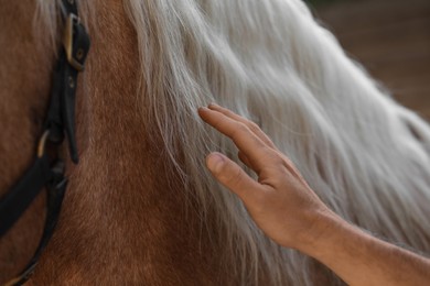 Man with adorable horse outdoors, closeup. Lovely domesticated pet
