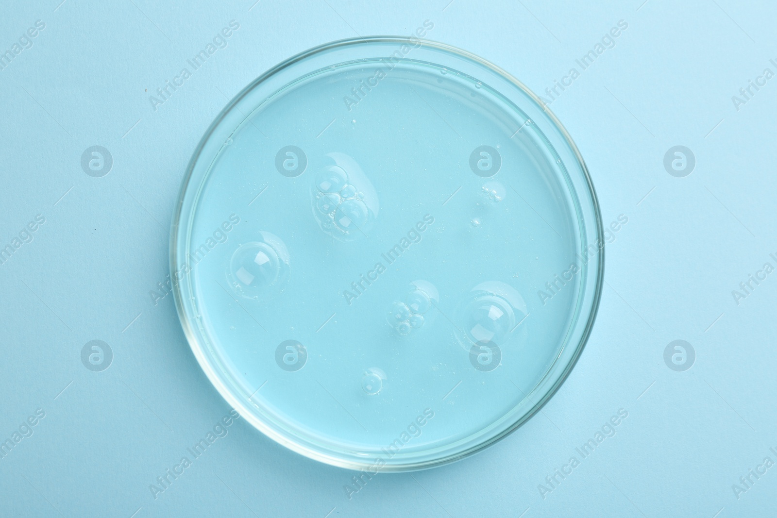 Photo of Petri dish with liquid sample on light blue background, top view