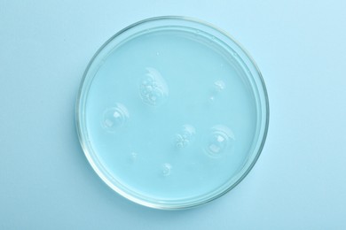 Photo of Petri dish with liquid sample on light blue background, top view