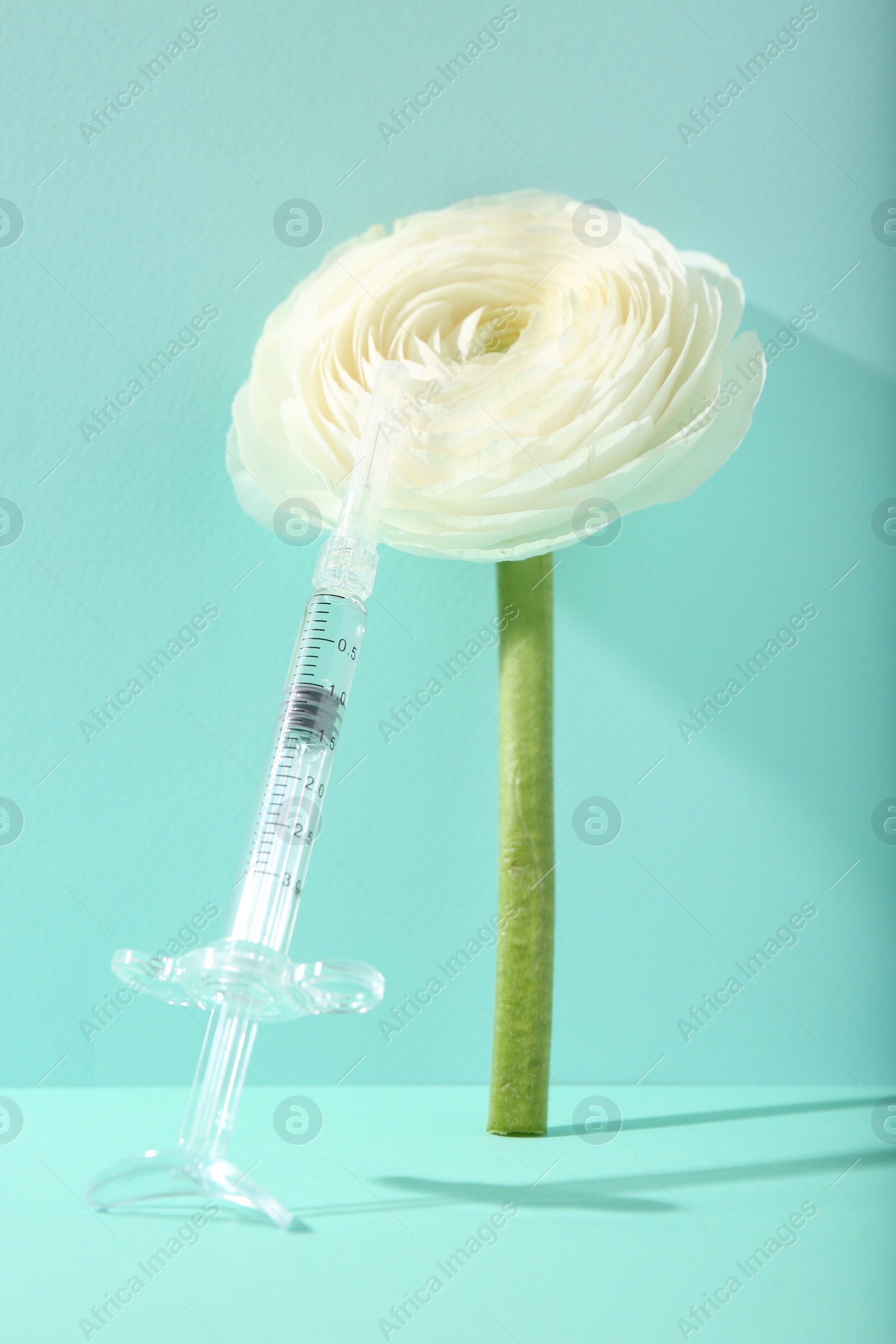 Photo of Cosmetology. Medical syringe and ranunculus flower on turquoise background