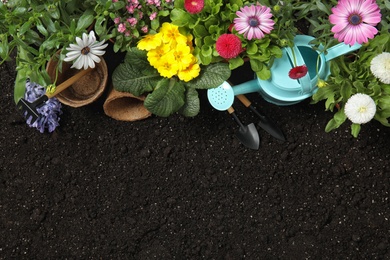 Flat lay composition with gardening equipment and flowers on soil, space for text