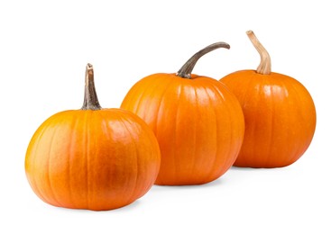 Many fresh orange pumpkins isolated on white