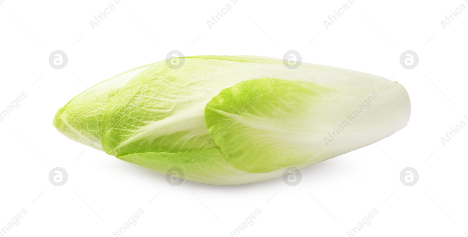 Photo of One raw ripe chicory isolated on white