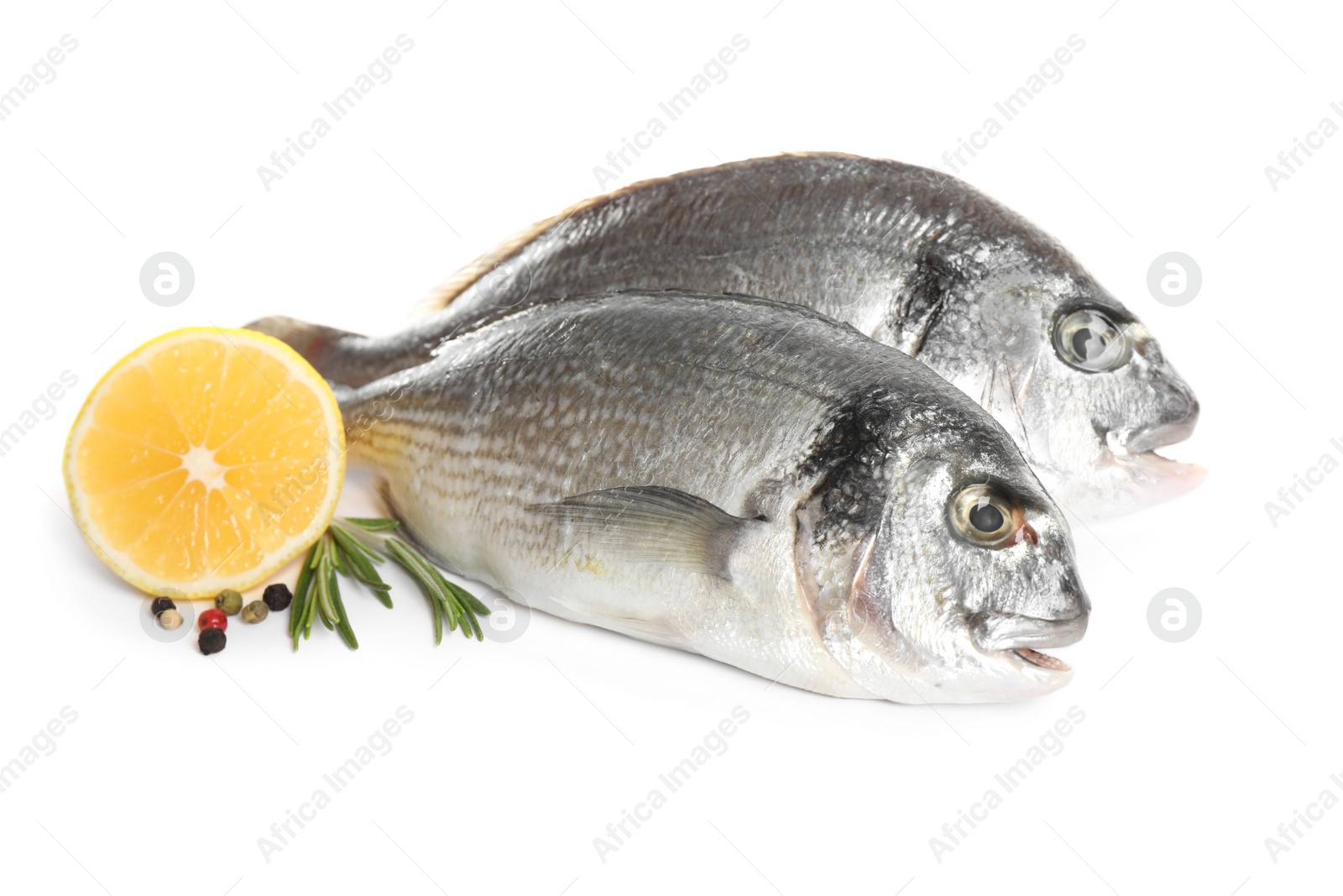 Photo of Raw dorada fish with lemon and spices isolated on white