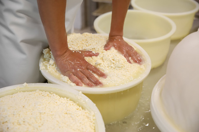 Worker pressing curd into mould at cheese factory, closeup