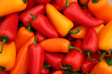 Photo of Yellow and red hot chili peppers as background, top view