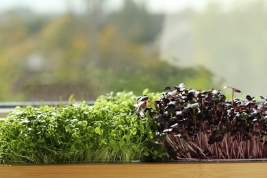 Photo of Different fresh microgreens in wooden crate indoors